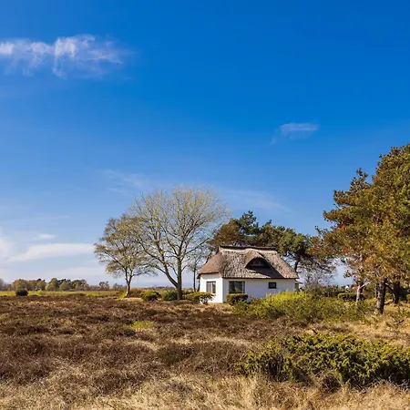 - Hiddensee 2