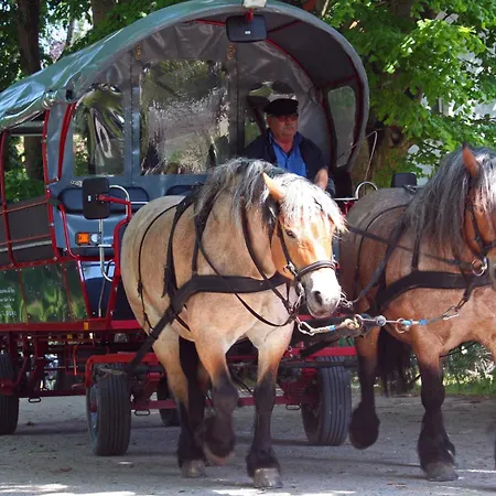 - Hiddensee 2 Appartamento Neuendorf (Hiddensee)