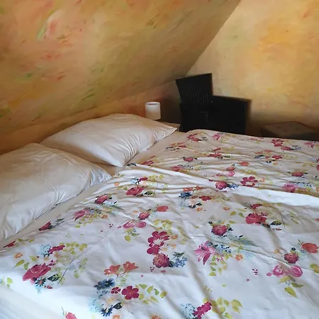 - Hiddensee 2 Daire *