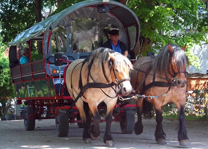 - Hiddensee 2 Appartamento Neuendorf (Hiddensee)